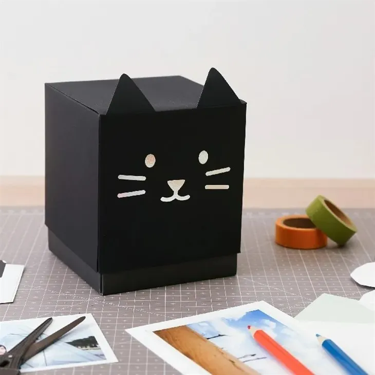 Coffret cadeau surprise en forme de chat